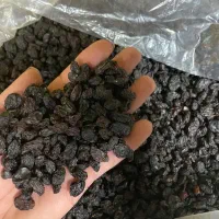 مویز بدون هسته|خوردنی و آشامیدنی|کاشمر, |دیوار