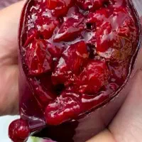 لواشک خونگی