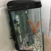 آکواریوم درحد نو|صنایع دستی و سایر لوازم تزئینی|بهشهر, |دیوار