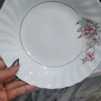 چینی اصل|ظروف سرو و پذیرایی|کرمانشاه, |دیوار