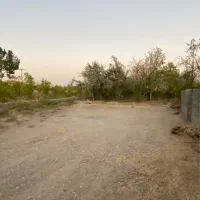 باغ معصوم آباد