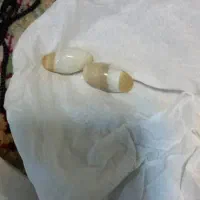 مهره اصلی موکل دار|جواهرات|کارون, |دیوار