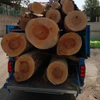 خریدارچوب هرس درخت قطع درخت