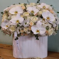 طراحی باکس و دسته گل طبیعی|گل و گیاه طبیعی|تهران, شکوفه|دیوار
