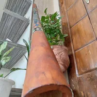 ساز دیدجریدو|سازهای سنتی|شاهینشهر, مخابرات (شهید بهشتی)|دیوار