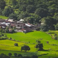 زمین