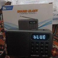 رادیوشارژی /بلوتوث /کارت حافظه /فلش خور