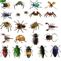 سم پاشی وضدعفونی اماکن ومنازل وتمام محیط|خدمات نظافت|گرگان, |دیوار