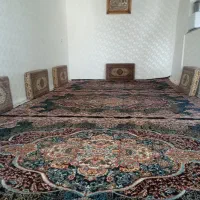 فرش فروشی|فرش|مریوان, |دیوار