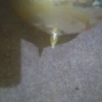 شیشه فلاسک چای ژاپنی|سماور، چای‌ساز، قهوه‌ساز|اهواز, کمپلو جنوبی|دیوار