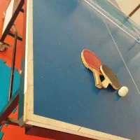 میز پینگ پنگ
