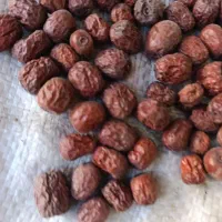 عناب دمنوشی بیرجند بلوار شعبانیه بدون خرابی