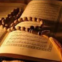 سرکتاب نصف قیمت