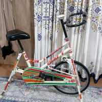 دوچرخه لاغری ورژیمی