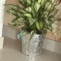 کرایه اپارتمان