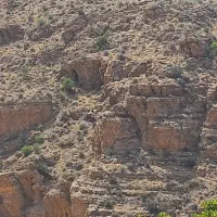 زمین در به حیاط