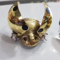 سه تا کفشدوزک