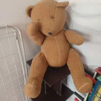 خرس|اسباب‌‌بازی|همدان, |دیوار