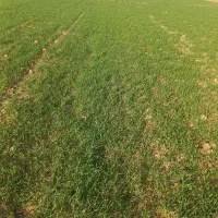 اهواز-جاده-قدیم-خرمشهر