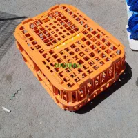 سبد حمل مرغ زنده