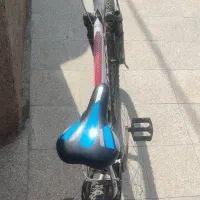 دوچرخه ویوا