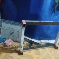 قفس پرنذه با زیر یخچالی