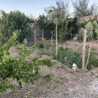 فروش باغ روستای یونس آباد|فروش خانه و ویلا|شاهرود, |دیوار