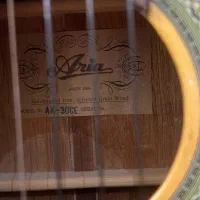 گیتار پیکاپدار آریا|گیتار، بیس، امپلیفایر|تهران, گیشا|دیوار