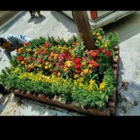 خدمات‌باغبانی‌محمدی