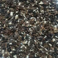 مغز گردو  ،برنج سر لاشه هاشمی ،اب زرشک الموت|خوردنی و آشامیدنی|محمدیه-قزوین, |دیوار