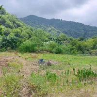 640متر زمین مسکونی روستایی