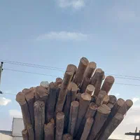 فروش و خرید چوب سقفی و انواع چوب درخت|عمدهفروشی|مشهد, بهمن|دیوار