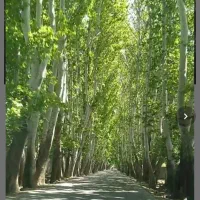 تهراندشت آران  فروش زمین شهرکی سند تک برگ ۴۶۵ متر