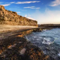 تورقشم گروهی