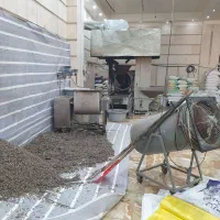 شورکاری تخمه و خشکبار