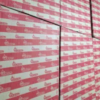 مبدل بوتان 115