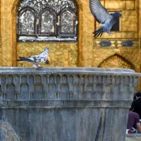 تور ریلی مشهد میخوای اونم قسطی