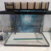 اکواریوم شیشه خم شرکتی بزرگ آماده با تمام وسایل