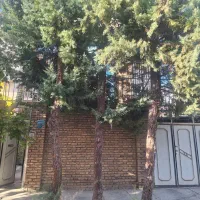 خانه آپارتمانی|فروش آپارتمان|سنقر, |دیوار