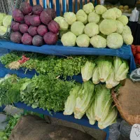 واگذاری میوه فروشی