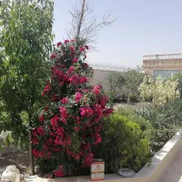 راهنمای خرید و فروش ملک در ویرانی