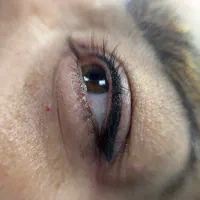مدل رایگان آرایش دائم ورنگ مو دکلره میکروابرو|خدمات زیبایی و سلامت|تهران, دهقان|دیوار