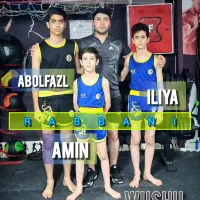 کلاس رزمی دفاع شخصی و ووشو بجنورد|خدمات آموزشی|بجنورد, |دیوار