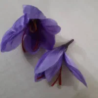 زمین دور دیوار یک هکتار موقعیت مکانی خوب