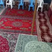 فرش|فرش|تولم شهر, |دیوار