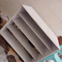 دوعدد جاکفشی