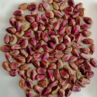 بازرگانی پسته