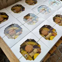 پک و پذیرایی مراسمات برند پاپیون از ۴۰ تا ۲۵۰ تومن