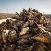 خدمات بنز تک کمپرسی|خدمات حمل و نقل|کنگاور, |دیوار