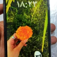 گوشی آیفون 15 پرومکس|موبایل|خرمشهر, |دیوار